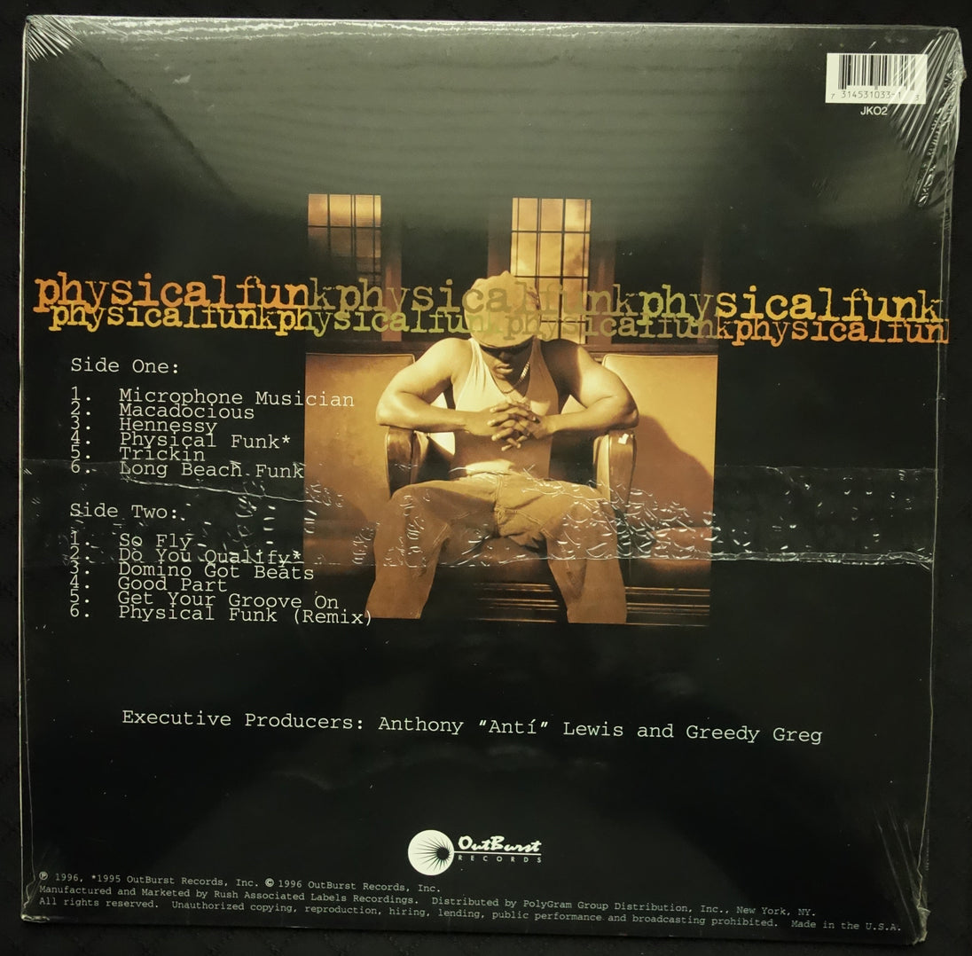 Domino "Physical Funk" (LP)-Vinyl Records-UnDigable Digs