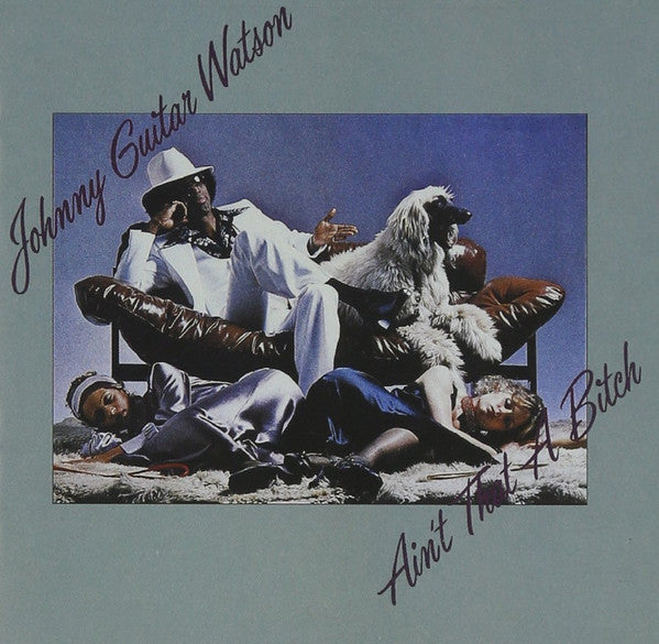 Johnny Guitar Watson "Ain't That A Bitch" (CD)-CDs-UnDigable Digs