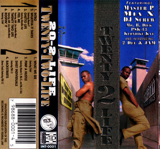 20-2-Life "Twenty-Two-Life"-Cassette Tapes-UnDigable Digs