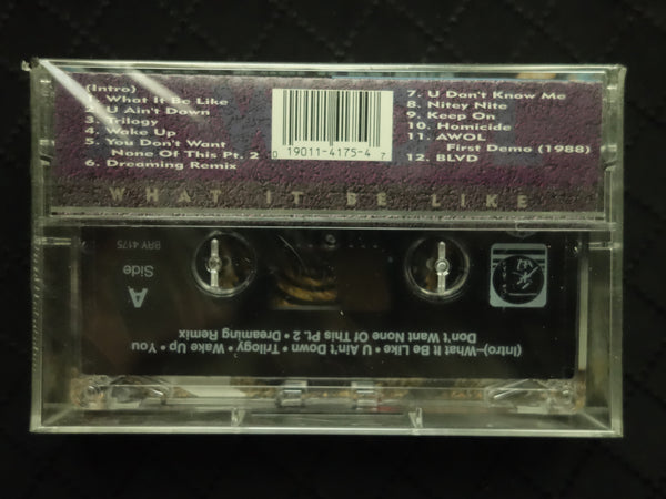 AWOL "What It Be Like"-Cassette Tapes-UnDigable Digs
