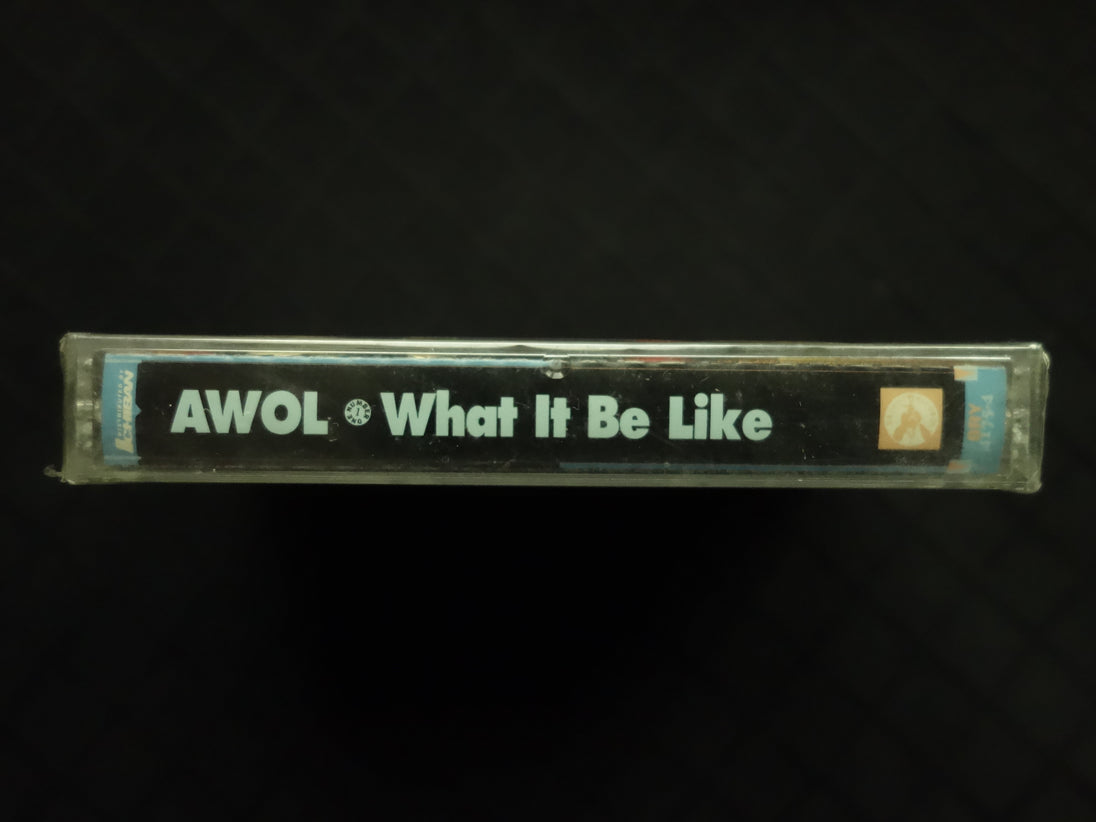 AWOL "What It Be Like"-Cassette Tapes-UnDigable Digs