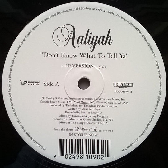 Aaliyah "Don't Know What To Tell Ya / Got To Give It Up (Remix)" (12" Single)-Vinyl Records-UnDigable Digs