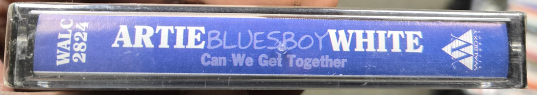 Artie Bluesboy White "Can We Get Together"-Cassette Tapes-UnDigable Digs