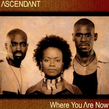 Ascendant "Where You Are Now" (CD)-CDs-UnDigable Digs