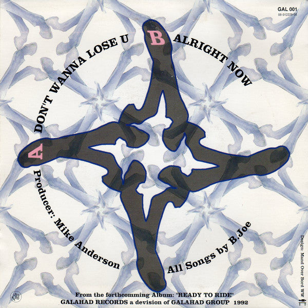 B Joe "Don't Wanna Lose You" (CD Single)-CDs-UnDigable Digs