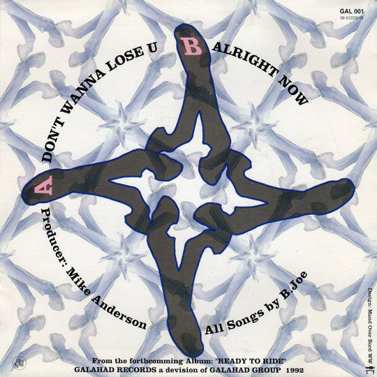 B Joe "Don't Wanna Lose You" (CD Single)-CDs-UnDigable Digs
