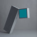 Bodega "Endless Scroll" (CD)-CDs-UnDigable Digs