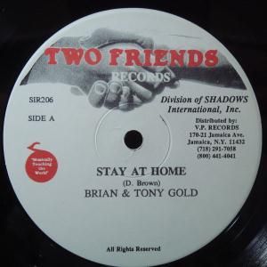 Brian & Tony Gold "Stay At Home" (12" Single)-Vinyl Records-UnDigable Digs