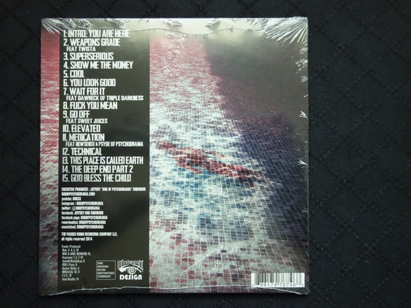 Buk (of PsychoDrama) "The Deep End" (CD)-CDs-UnDigable Digs