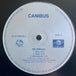 Canibus "Mic-Nificent / Phuk U" (12" Single)-Vinyl Records-UnDigable Digs