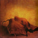 Counting Crows "This Desert Life" (CD)-CDs-UnDigable Digs