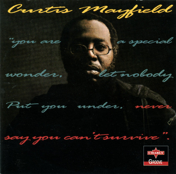 Curtis Mayfield "Never Say You Can't Survive" (CD)-CDs-UnDigable Digs