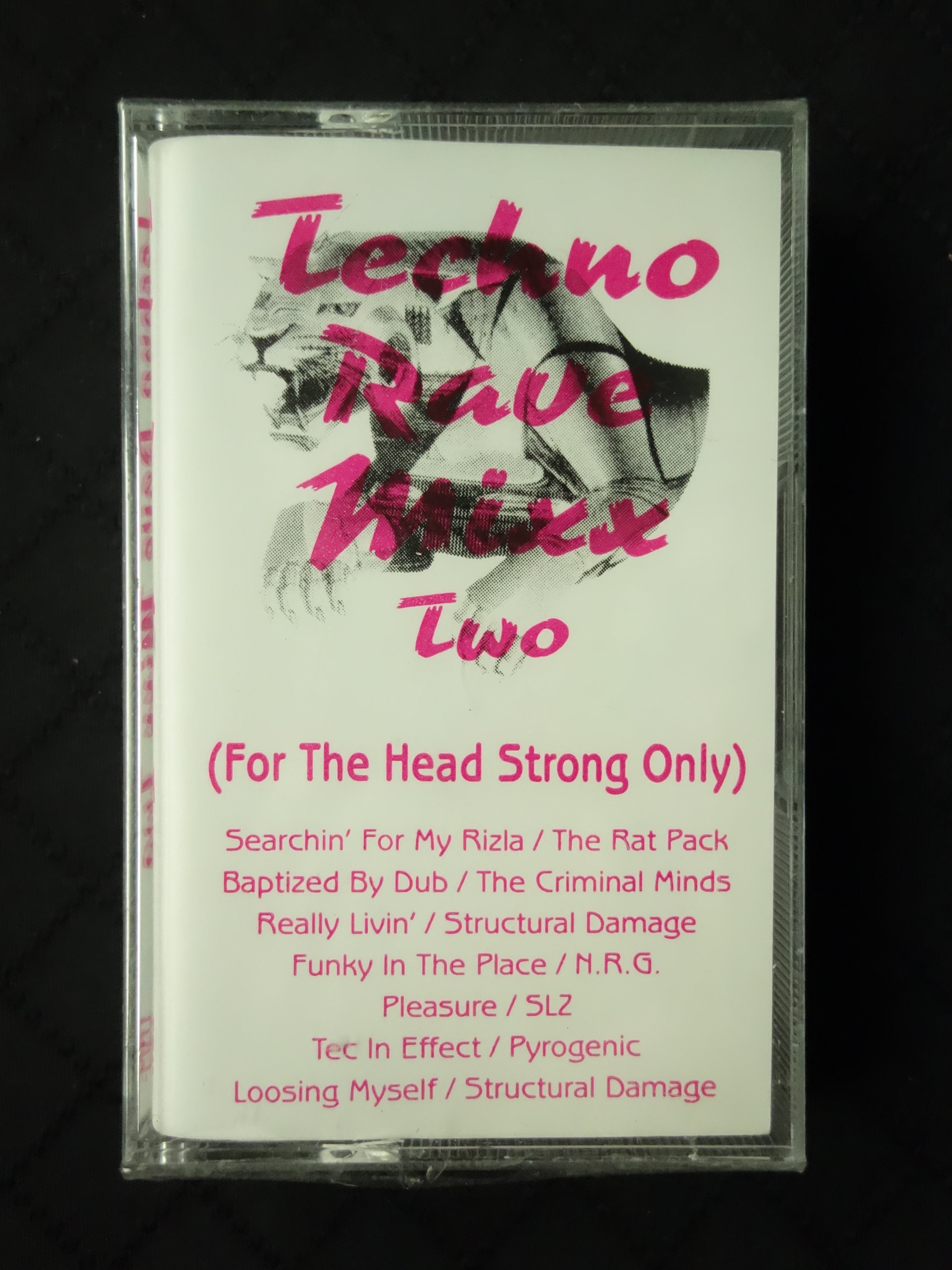 Techno Rave Mixx Two (For The Head Strong Only)