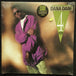 Dana Dane "Dana Dane 4 Ever" (LP)-Vinyl Records-UnDigable Digs