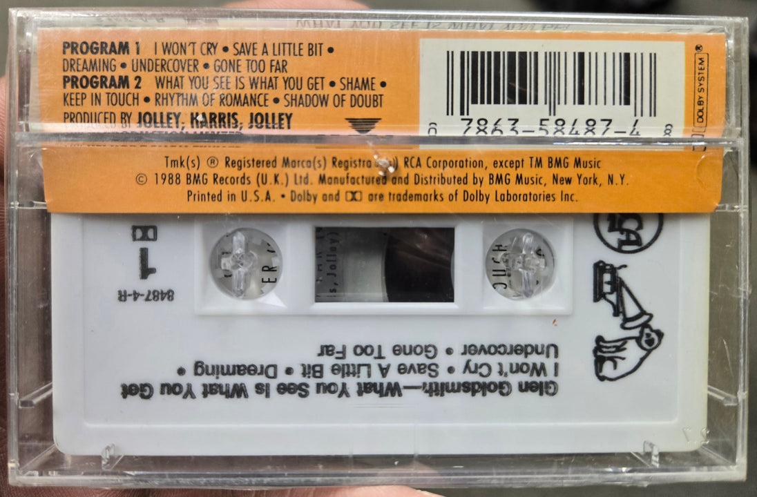 Glen Goldsmith "What You See Is What You Get"-Cassette Tapes-UnDigable Digs