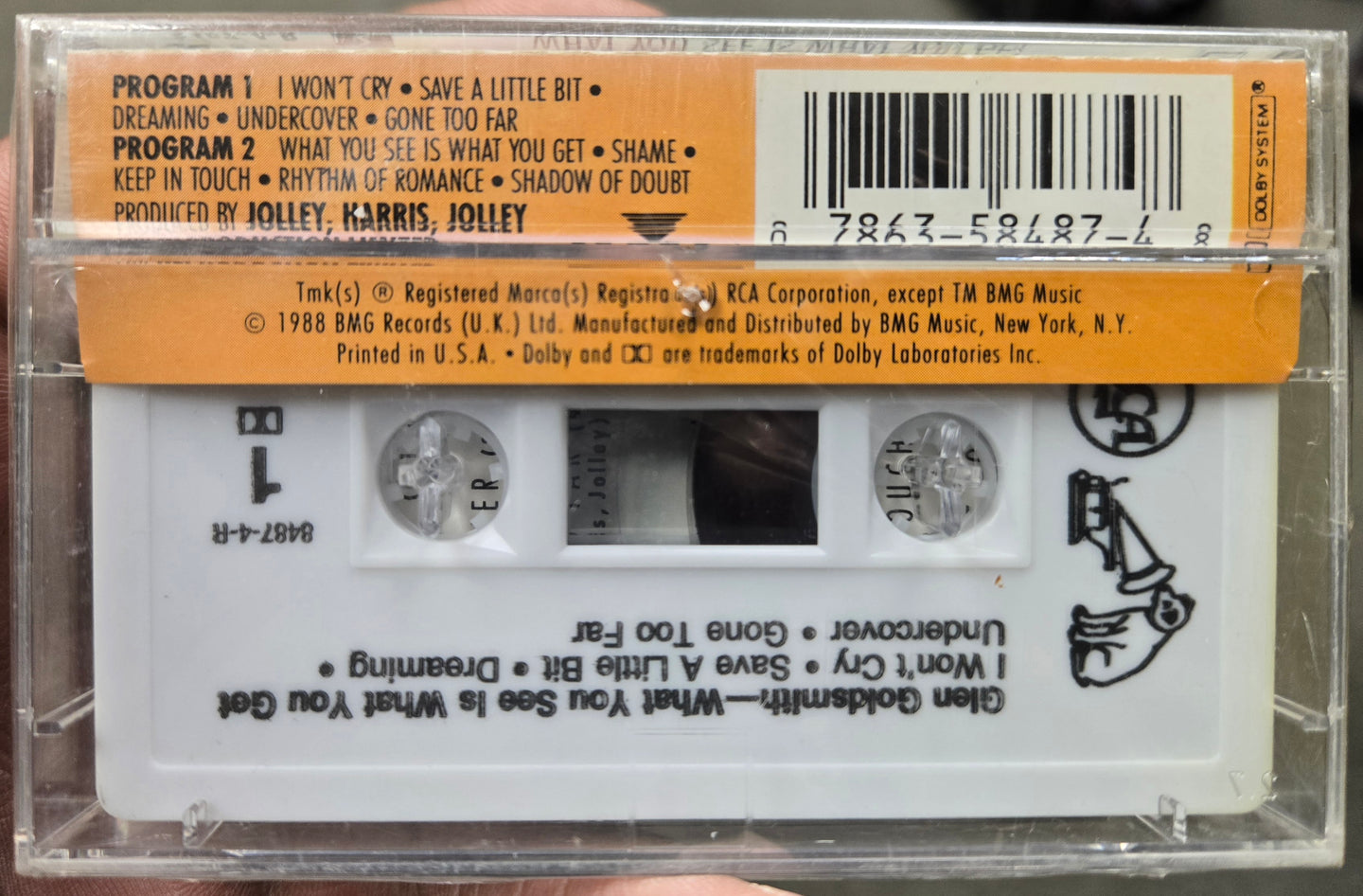 Glen Goldsmith "What You See Is What You Get"-Cassette Tapes-UnDigable Digs