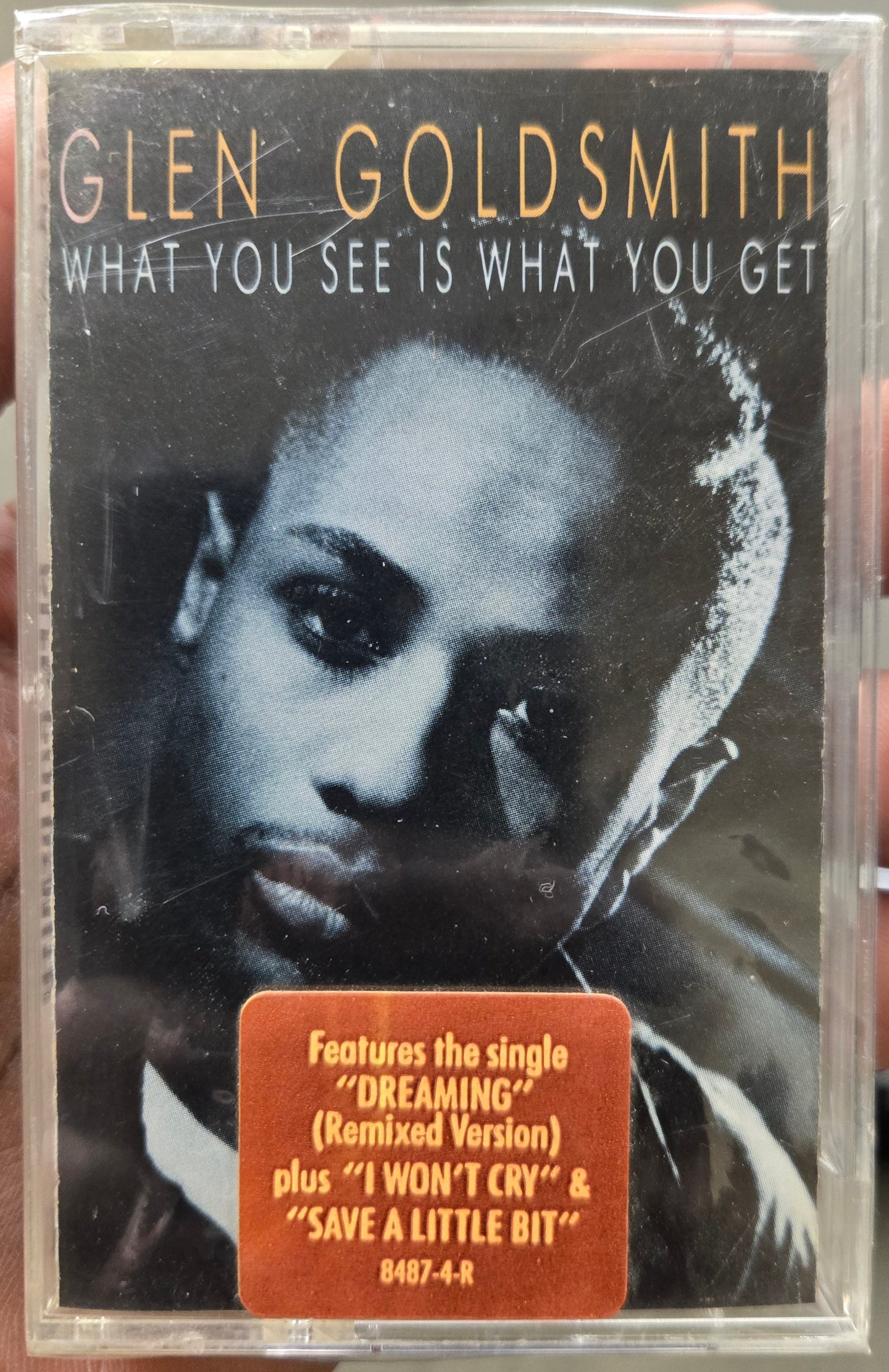 Glen Goldsmith "What You See Is What You Get"-Cassette Tapes-UnDigable Digs