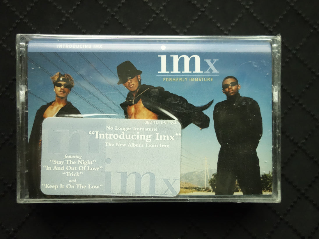 IMx "Introducing IMx"-Cassette Tapes-UnDigable Digs