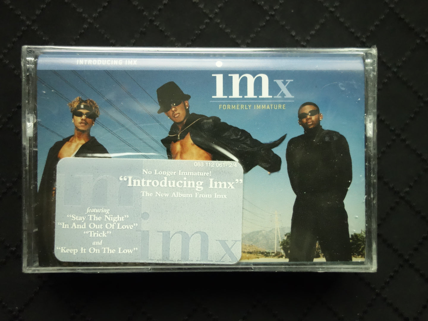 IMx "Introducing IMx"-Cassette Tapes-UnDigable Digs