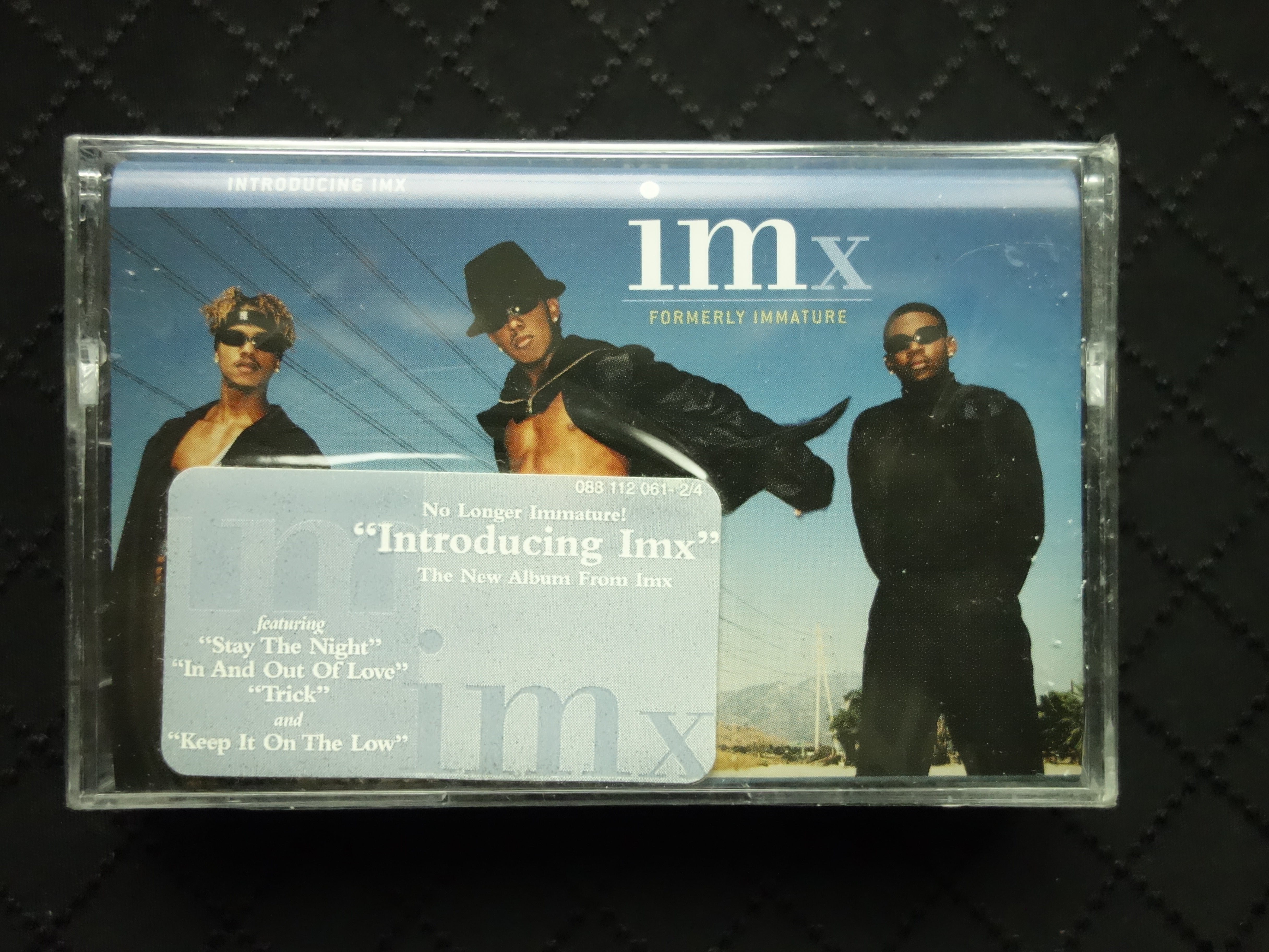 IMx "Introducing IMx"-Cassette Tapes-UnDigable Digs