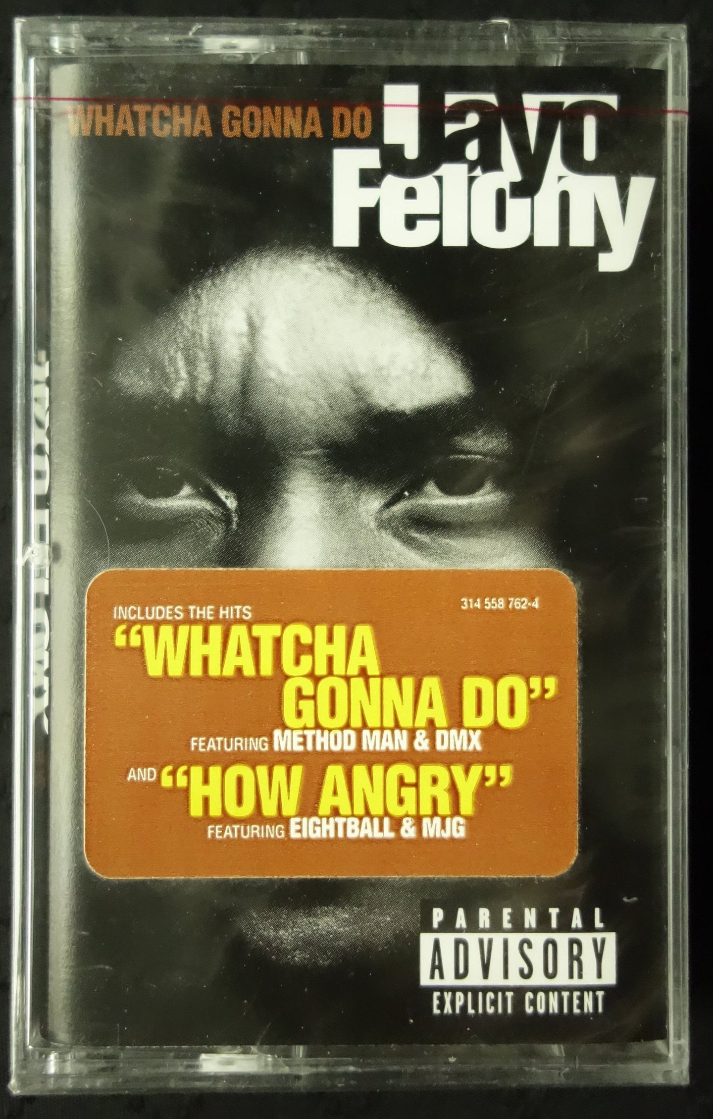 Jayo Felony "Whatcha Gonna Do"-Cassette Tapes-UnDigable Digs