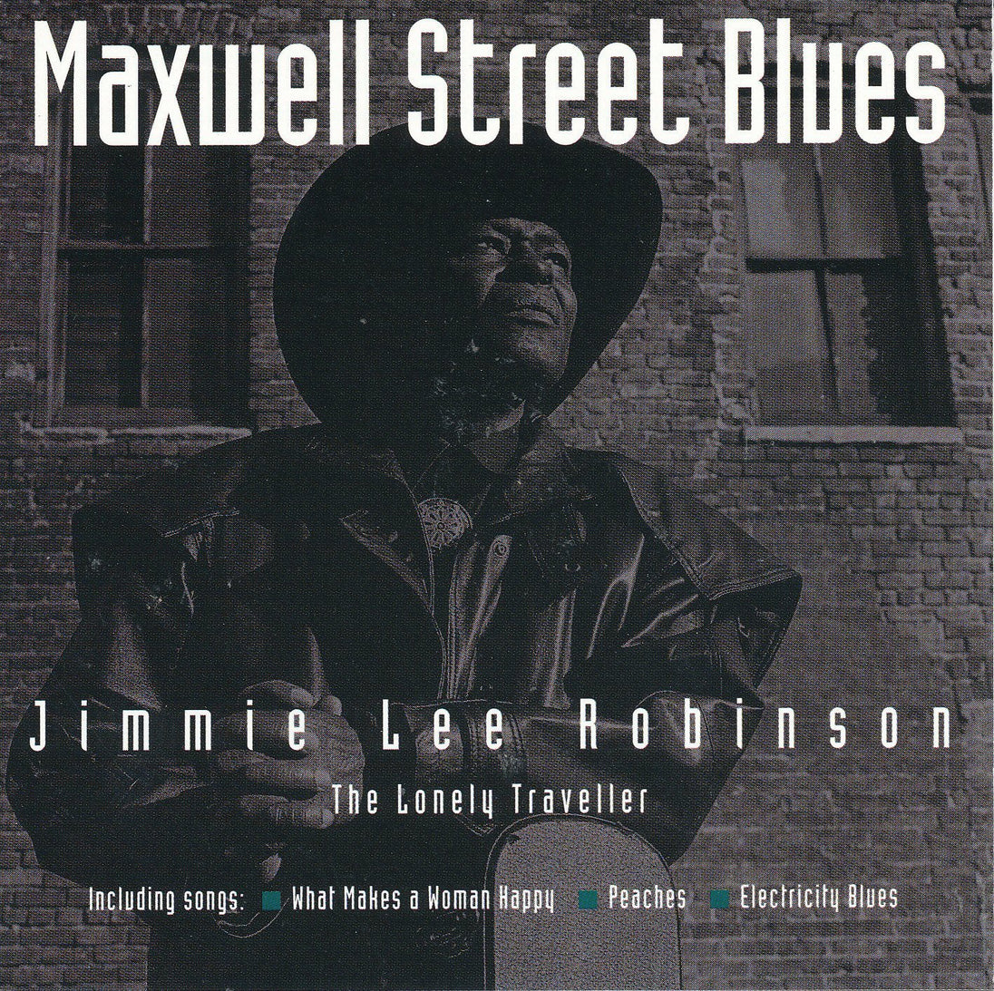 Jimmie Lee Robinson "Maxwell Street Blues"-Cassette Tapes-UnDigable Digs