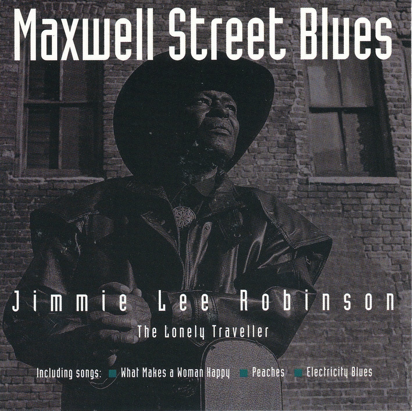 Jimmie Lee Robinson "Maxwell Street Blues"-Cassette Tapes-UnDigable Digs
