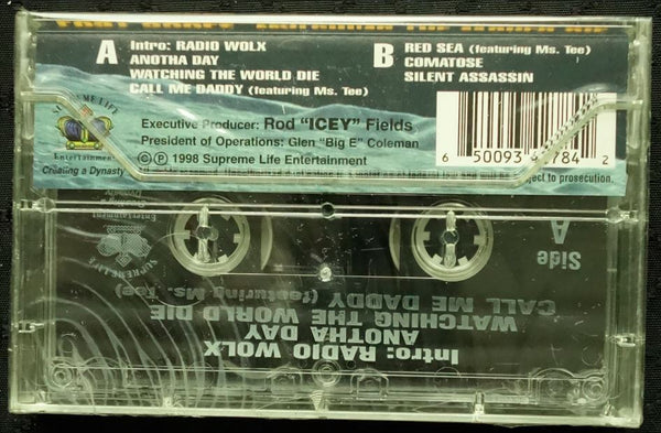 Lost Soulz "Watching The World Die"-Cassette Tapes-UnDigable Digs