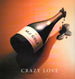 MJ Cole "Crazy Love" (12" Single)-Vinyl Records-UnDigable Digs