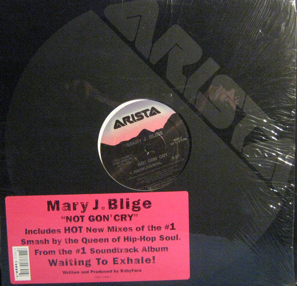 Mary J. Blige "Not Gon' Cry" (12" Single)-Vinyl Records-UnDigable Digs