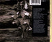 Michael Franks "Abandoned Garden" (CD)-CDs-UnDigable Digs