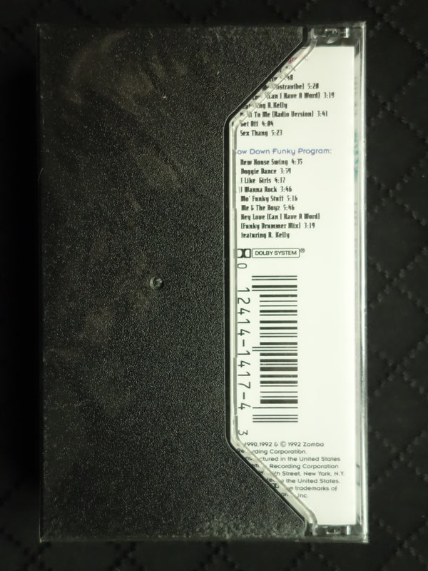 Mr. Lee "I Wanna Rock Right Now"-Cassette Tapes-UnDigable Digs