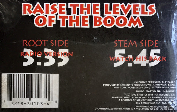 N-Tense "Raise The Levels Of The Boom" (Single)-Cassette Tapes-UnDigable Digs