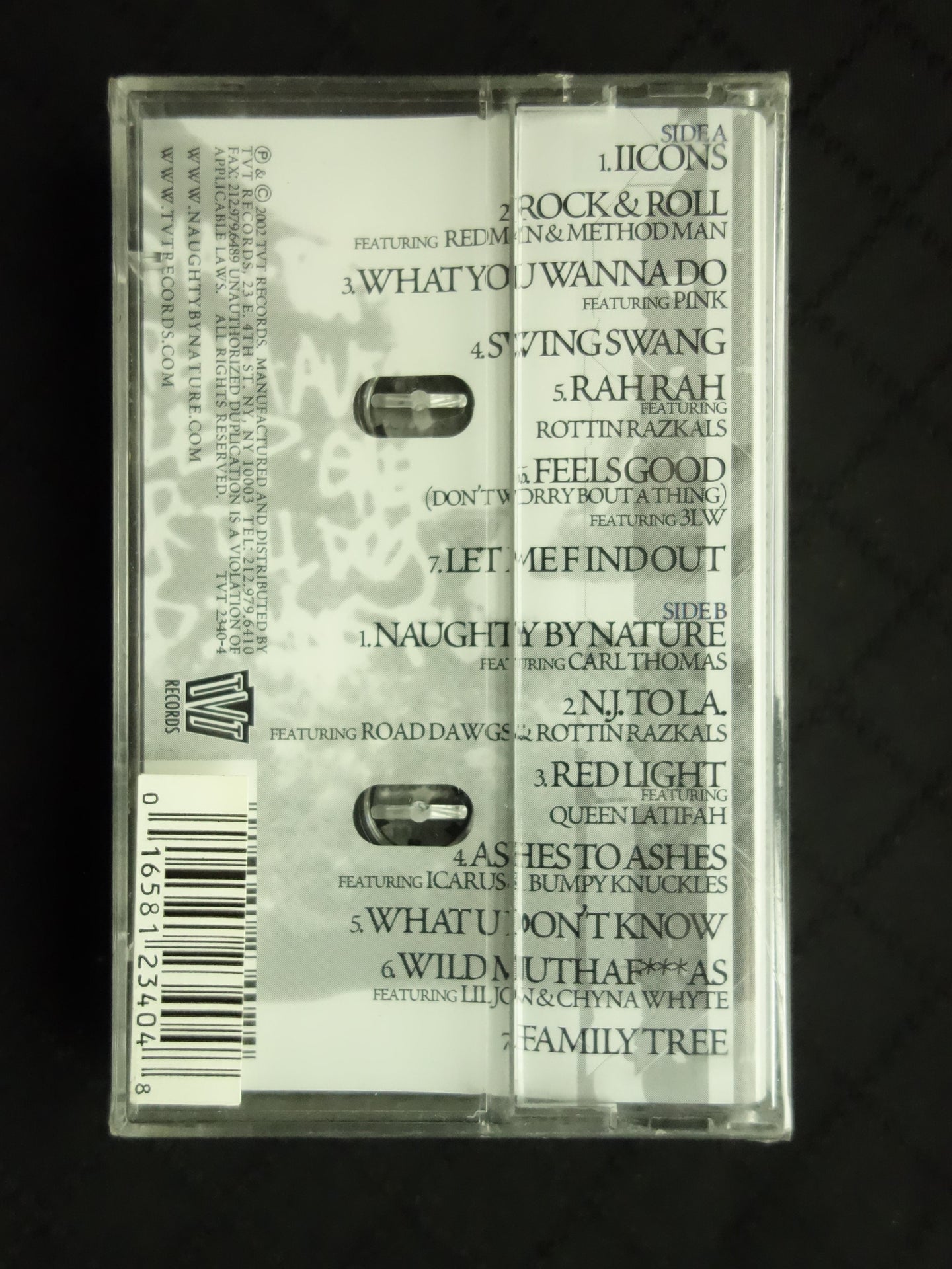 Naughty By Nature "Iicons"-Cassette Tapes-UnDigable Digs