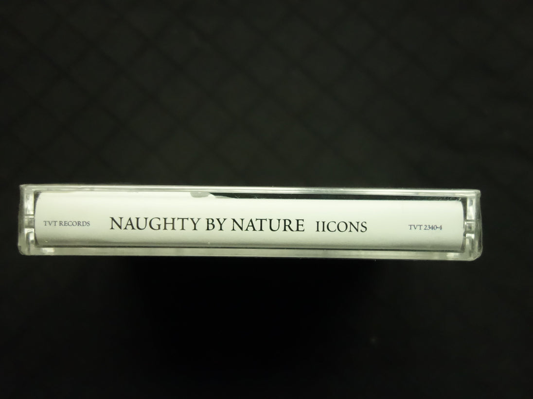 Naughty By Nature "Iicons"-Cassette Tapes-UnDigable Digs