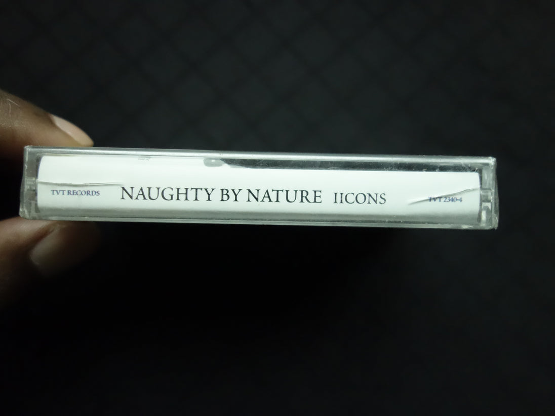 Naughty By Nature "Iicons"-Cassette Tapes-UnDigable Digs