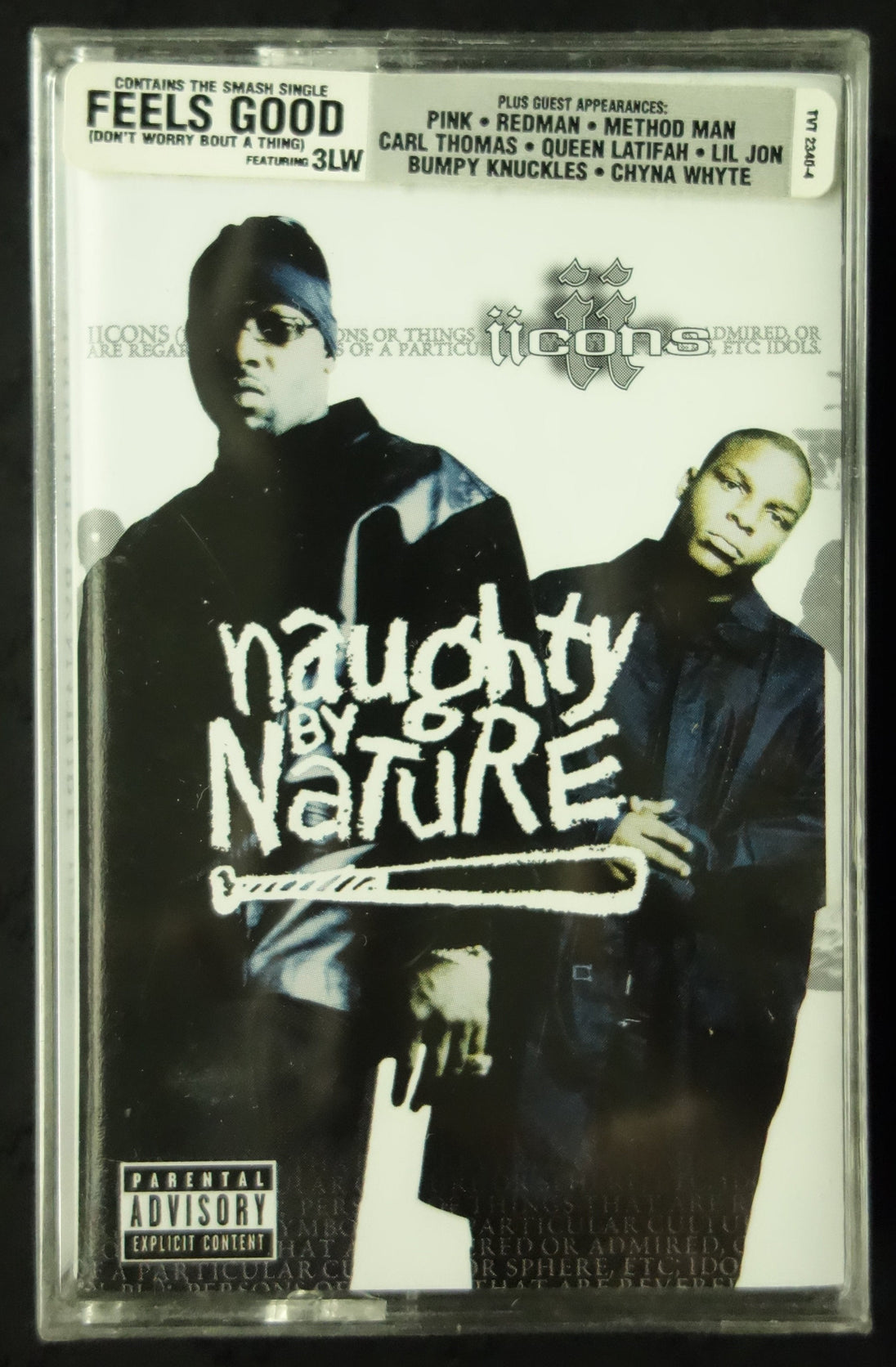 Naughty By Nature "Iicons"-Cassette Tapes-UnDigable Digs