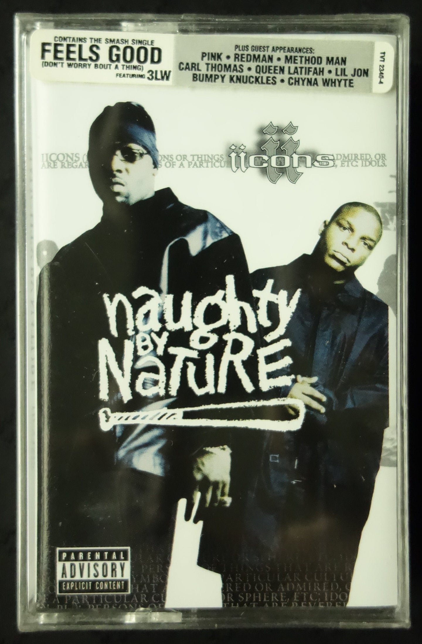 Naughty By Nature "Iicons"-Cassette Tapes-UnDigable Digs