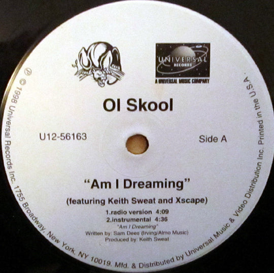 Ol Skool "Am I Dreaming" (12" Single)-Vinyl Records-UnDigable Digs