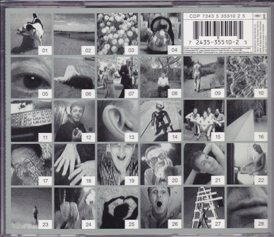 Paul McCartney "Driving Rain" (CD)-CDs-UnDigable Digs