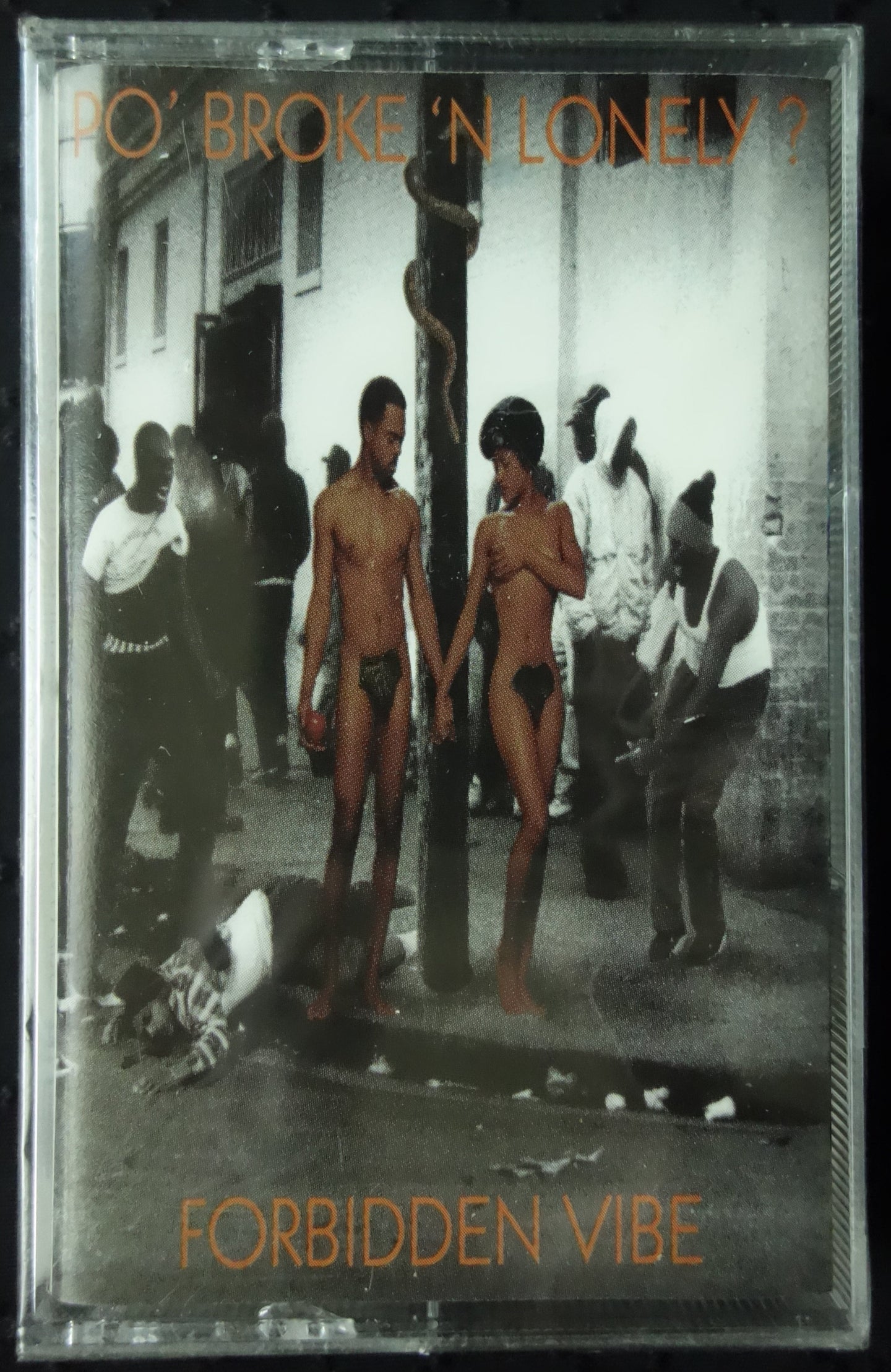 Po' Broke 'N Lonely? "Forbidden Vibe"-Cassette Tapes-UnDigable Digs