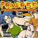 Primer 55 "Introduction To Mayhem" (CD)-CDs-UnDigable Digs