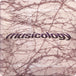Prince ‎"Musicology" (CD)-CDs-UnDigable Digs