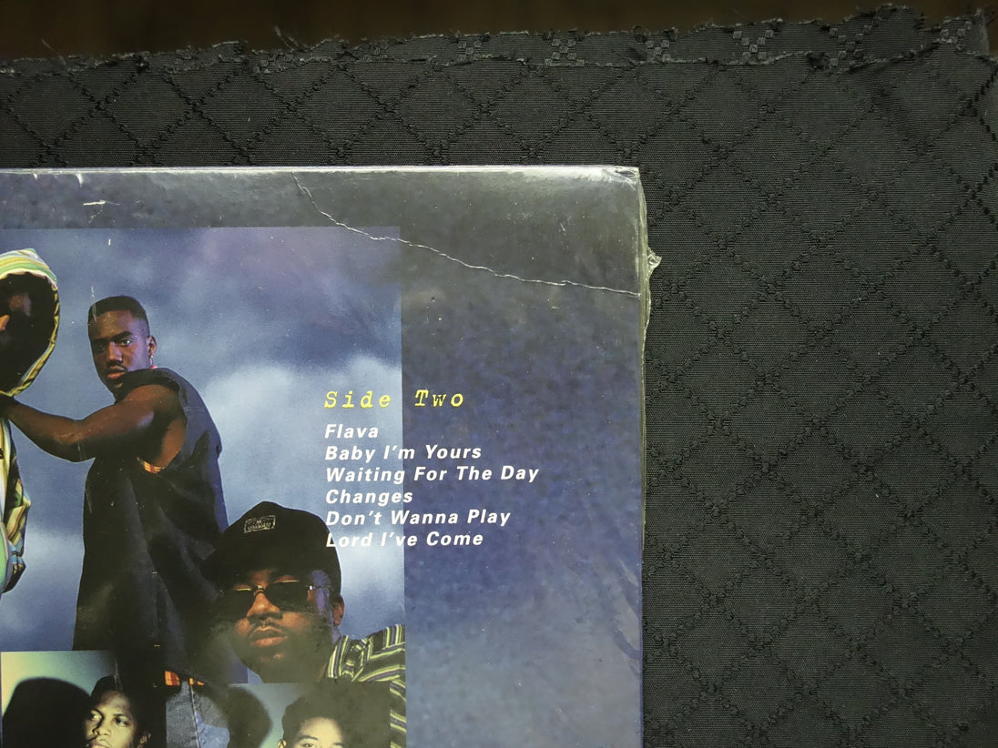 Shai "...If I Ever Fall In Love" (LP)-Vinyl Records-UnDigable Digs