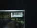 Shaquille O'Neal "Respect" (CD)-CDs-UnDigable Digs