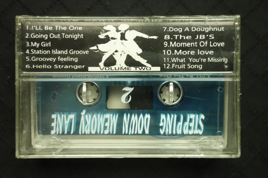 Stepping Down Memory Lane Volume Two-Cassette Tapes-UnDigable Digs
