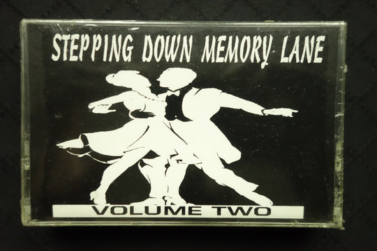 Stepping Down Memory Lane Volume Two-Cassette Tapes-UnDigable Digs