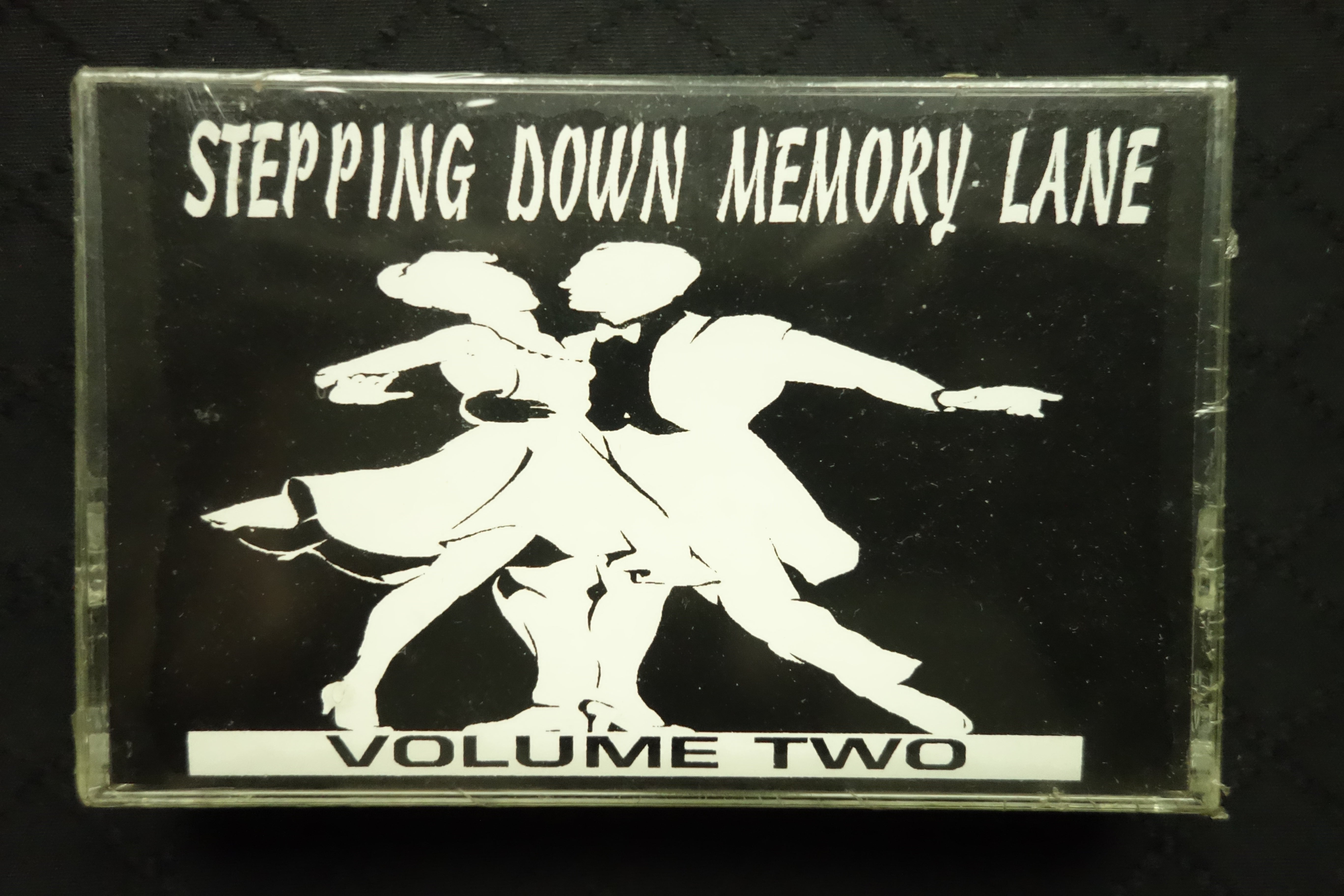 Stepping Down Memory Lane Volume Two-Cassette Tapes-UnDigable Digs