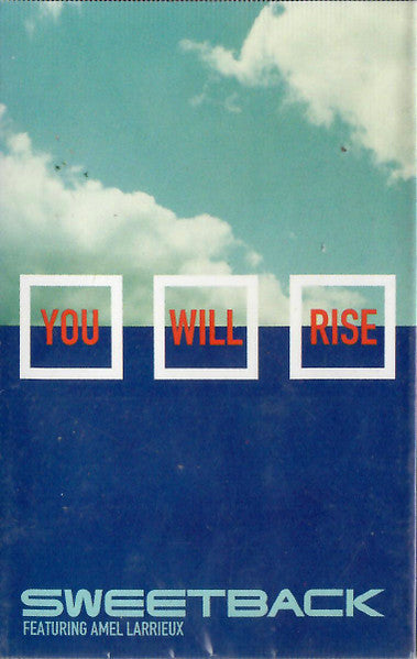 Sweetback Featuring Amel Larrieux "You Will Rise"-Cassette Tapes-UnDigable Digs