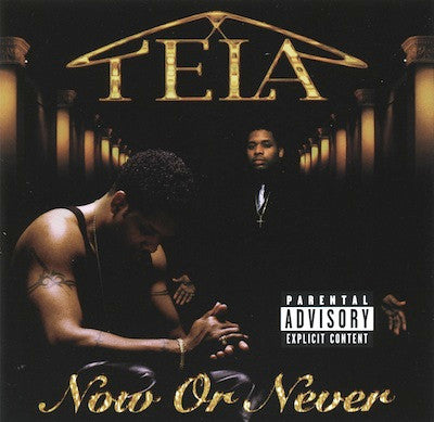 Tela "Now Or Never"-Cassette Tapes-UnDigable Digs